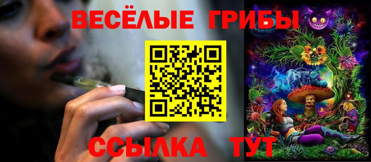 Псилоцибиновые грибы Magic Shrooms  Галлюциногенные грибы GOLDEN TEACHER  Краснокаменск  Вход с VPN 